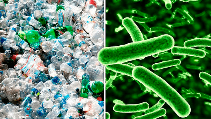 Как биотехнологии помогают в переработке пластика